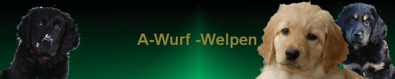 A-Wurf -Welpen