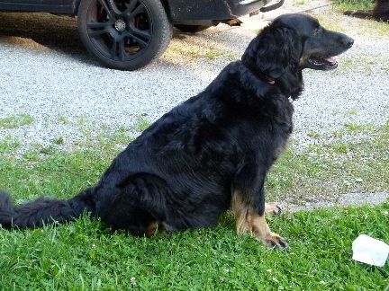 Emma Traechtig 4 Emma Traechtig 4