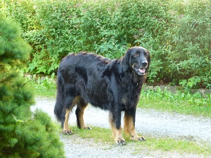 Emma Traechtig 5 Emma Traechtig 5
