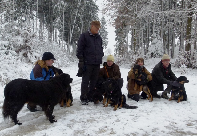 Welpentreffen 2981 Welpentreffen 2981