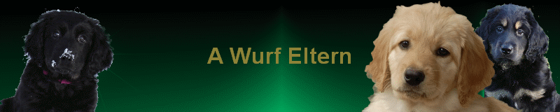 A Wurf Eltern