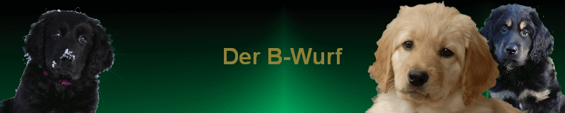 Der B-Wurf