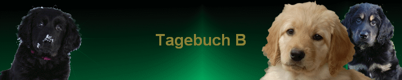 Tagebuch B